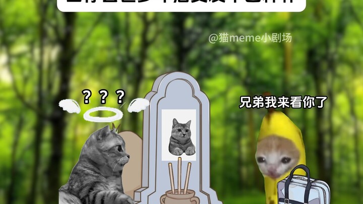 عندما تُغادر الحياة بعد سنوات عديدة، تكون حبيبتك قد تجاوزت الأمر منذ زمن طويل.