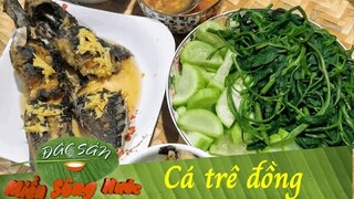 Cá trê đồng làm món gì cũng hao cơm, ăn no tới nứt bụng | Đặc sản miền sông nước