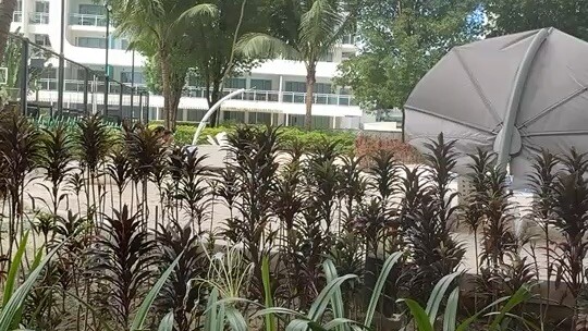 千人同茶不同味万人同道不同心