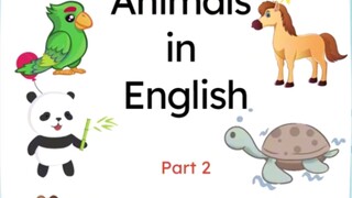 learning english animals