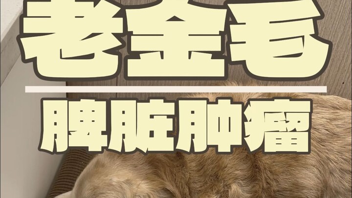 Will the thing you love eventually leave you?