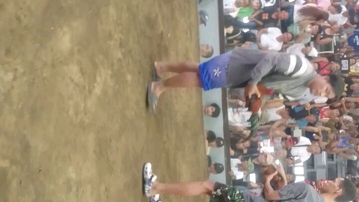 5k sweater gma coliseum own breed bullstag