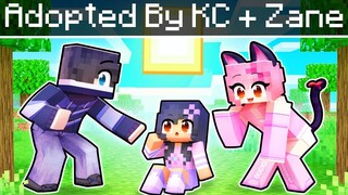 นำมาใช้โดย KC และ ZANE ใน Minecraft!