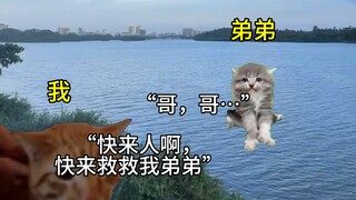 “这一次，我不会再失手。”