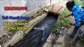 Senengnya..!! Mancing Di Gorong Gorong Kecil Ini Babonya Meronta Melawan Sekuat Tenaga