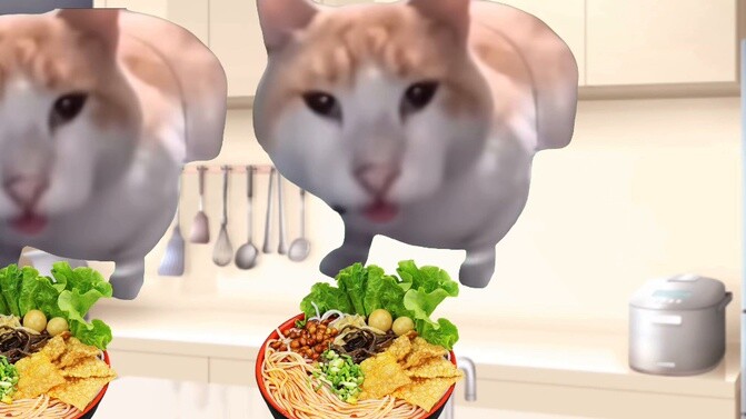 【Cat meme】Liu Zi was eating noodles late at night and the white old lady mistook it for the toilet e