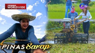 Kara David at Jackie Gonzaga, nagpagalingan sa pag-araro ng lupa! | Pinas Sarap