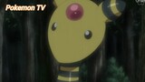 Pokemon (Short Ep 96) - Ánh sáng của Denryu #pokemon