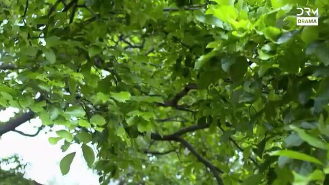 kundali bhagya bahasa Indonesia episode 1