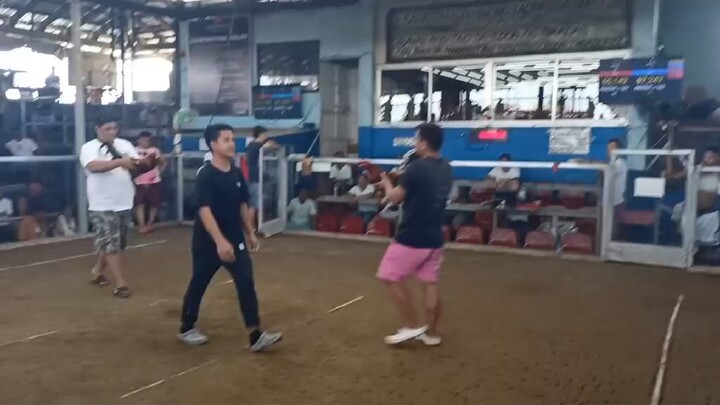 Win @ Dampalit Cockpit Arena, 3x Winner JBK, still unscratch, Conditiong Ultimate Warrior 🐓