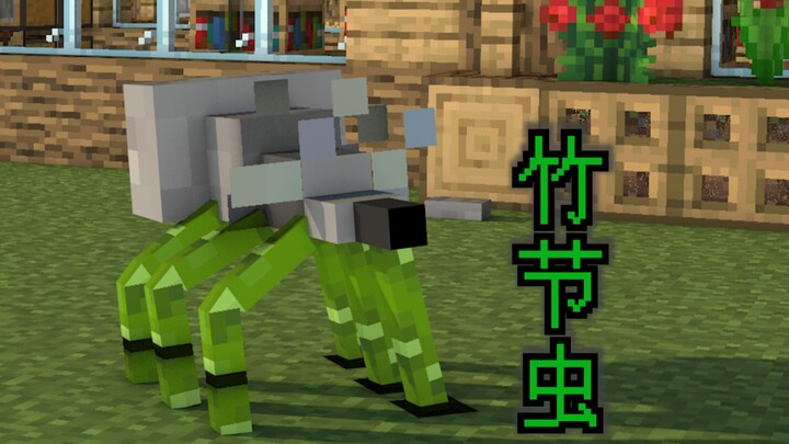 ตั๊กแตนกิ่งไม้！？