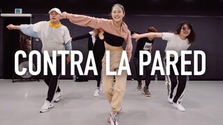【1M基础】Ara Cho编舞Contra La Pared