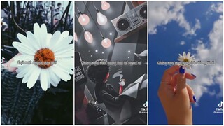 #10 Nhạc Chill Tik Tok: Tổng hợp các bài chill Tik Tok cực hay, nghe là nghiện | Hạ Chill