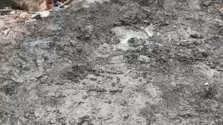 ✅六月再见，七月第一天，求个上上签，卡里不缺钱，晚上不失眠，所得皆所期，所失亦无碍，七月，愿顺风顺水又顺意[合十]