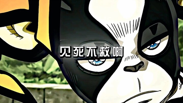 狗中承太郎这一块/.