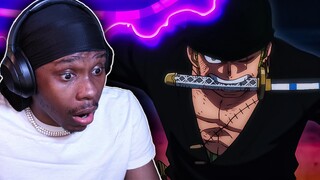 WAIT ZORO CUTS KAIDO!!? One Piece Episode 1018-1019 REACTION!!