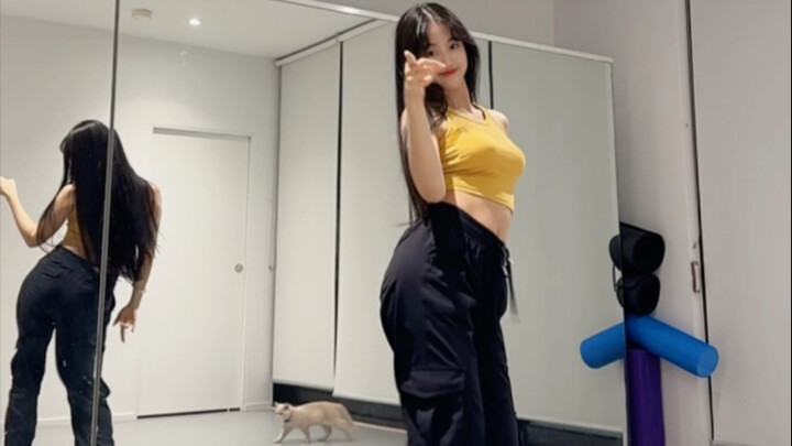 Using Lemon Fork to officially announce that I now own my first little cat, Jiu Jiu!! Hehe (〃'▽'〃)