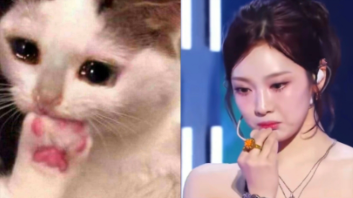 The first “apology” ending in history has arrived! The little kitten eats its own paws.