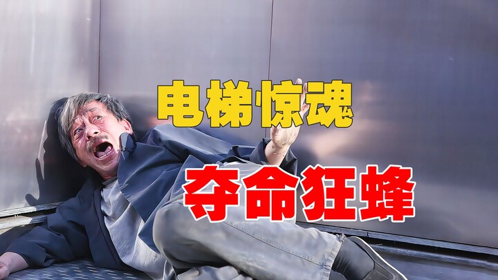 Prank Master: Tipping Over a Beehive in the Elevator!