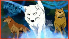 EP.28 - WOLFS RAIN.