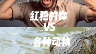 红温的你VS各种动物