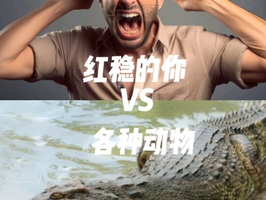 红温的你VS各种动物