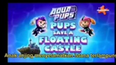 Paw patrol Musim 9 Episode 14 Bahasa indonesia Vision+