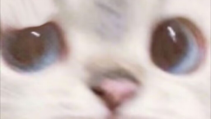 Khi tôi dùng hết sức để yêu em… ơ, khoan đã, em rơi xuống là sao vậy?