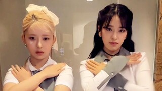 ชาเลนจ์เต้น "Macarena" ของ Sister Bean Naoi Reian Yuma