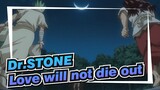 Dr.STONE|Love will not die out