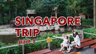 Lần đầu Cam đi nước ngoài | Singapore có tuyệt như quảng cáo | Gia Đình Cam Cam Vlog 96