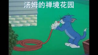 【猫和老鼠】汤姆的禅境花园