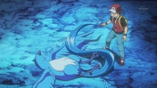 Mega Charizard vs Mewtwo final