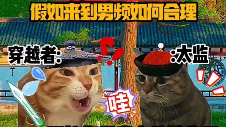 “Kịch bản meme về mèo” – Khi các yếu tố thường thấy trong tiểu thuyết nữ tính được đưa sang thể loại