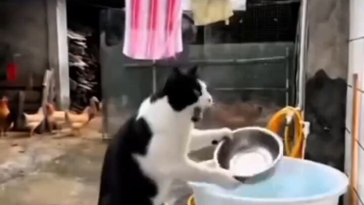 Nilalamig pa si moning😅