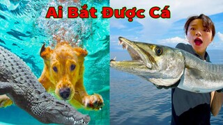 Thú Cưng TV | Gâu Đần và Bà Mẹ #45 | Chó Golden Gâu Đần thông minh vui nhộn | Pets cute smart dog