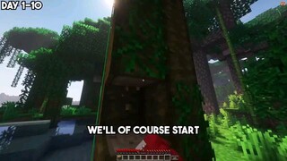 Minecraft 100days modded