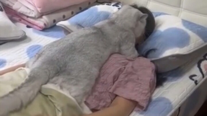 “Khả năng bị mèo giết không cao, nhưng tuyệt đối không thể bằng không”