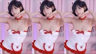 كلب لان جميل حقًا