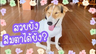 โลกของแสนดี ตอน แน่นเป็นแหนม