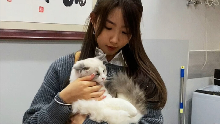 Phản lại mèo con “dụ trước rồi mới bắt”?