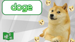 【梗百科】Doge是啥梗？神烦狗是怎么来的？