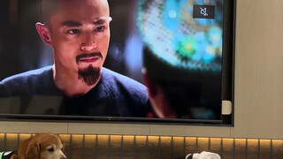Zhou Xun dubbing Ruyi's Royal Love in the Palace