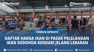 Daftar Harga Ikan Terbaru di Pasar Pelelangan Ikan Sodohoa Kendari Sultra, Termurah Hanya Rp5 Ribu