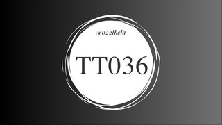 TT036