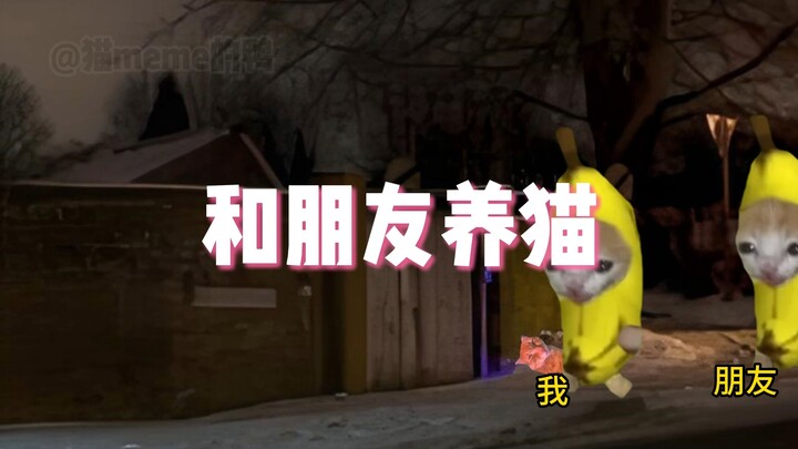 Raising cats with friends