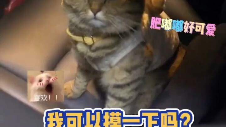 不开玩笑停车场听到这声音我能吓死