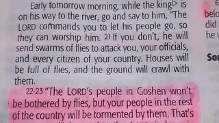 Daily Verse.                  Exodus 8:20-23
