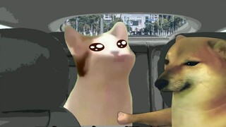 ใครเป็นผู้รับผิดชอบเรื่องนี้?
