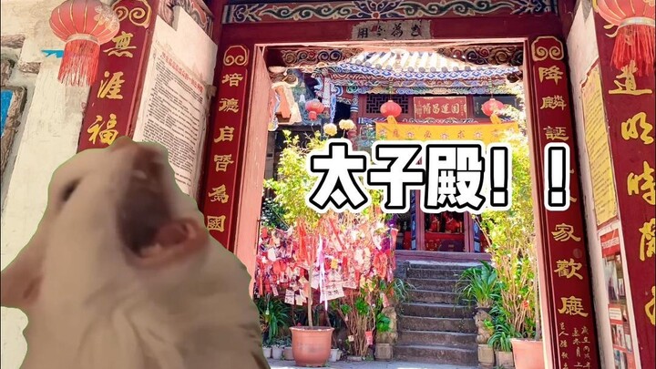 Cat meme丨About finally going to Weibao Mountain丨Heaven Official's Blessing